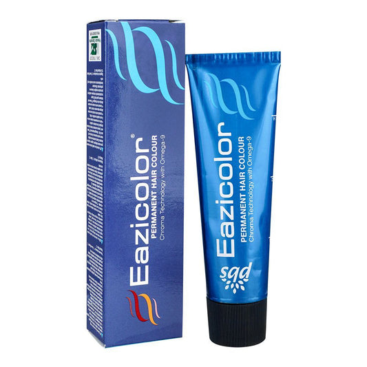 Eazicolor Permanent Hair Color, Chroma Technology With Omega-9, 60ml, 6NW Dark Natural Warm Blonde -  Front View